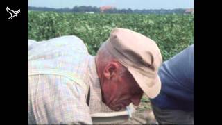 Pioniers de kolonisten van de Noordoostpolder van 19052013 [upl. by Buderus]