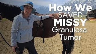 How we SAVED Missy Granulosa Tumor in horses [upl. by Bogart]