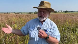 Virtual Hike on the Prairie  Fall Edition with Bruce Schuette [upl. by Noivert]