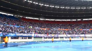 Austria Wien  Pasching 01 CupFinale 300513 Support [upl. by Vasily]