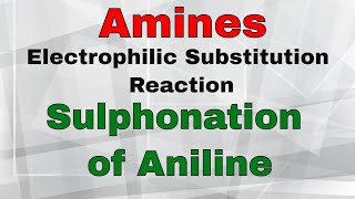 22 Amines Sulphonation of Aniline  Aromatic Amines Electrophilic Substitution Reaction3 [upl. by Holna]