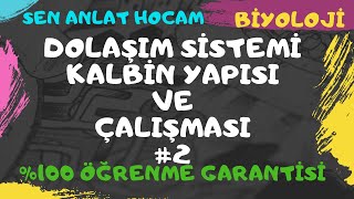 DOLAŞIM SİSTEMİ KONU ANLATIMI 3  KALBİN ÇALIŞMASI  AYT BİYOLOJİ  ✅ [upl. by Hluchy]