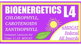 Pigments in Photosynthesis Chlorophyll carotenoids xanthophyll in details Class1112 mdcat level [upl. by Seeto]