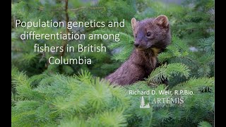 Population Genetics of Fishers in British Columbia [upl. by Esma]