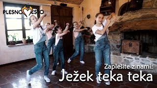 Zapleši z nami JEŽEK TEKA TEKA Živali jeseni  M Voglar  Plesno Mesto [upl. by Zildjian]