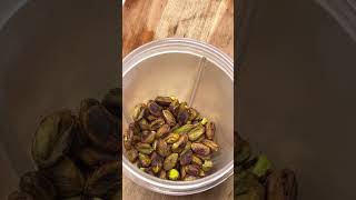 How To Make chunky Pistachio PasteSpread shorts shortsvideo pistachio viral spread howto [upl. by Imer]