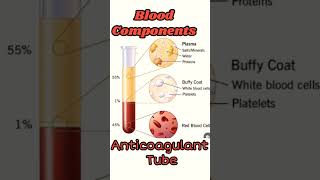 Blood Components रक्त में उपस्थित cellyoutubeshorts ytshorts shorts [upl. by Chan116]