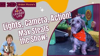 Meet Actor Dog Max aka Toto [upl. by Dieball]