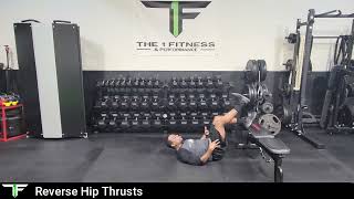 Reverse Hip Thrusts  The 1 Fitness amp Performance [upl. by Bryon]