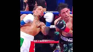 Gervonta Davis Best Knockouts 🔥 [upl. by Esertal]