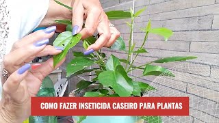 COMO FAZER INSETICIDA CASEIRO PARA PLANTAS [upl. by Ecilayram]