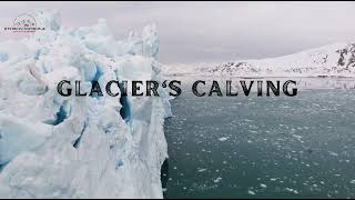 MELTING GLACIERS  CALVING GLACIER  ICE MELTING  ANTARCTICA  NATURE IN 4K [upl. by Rosalee]