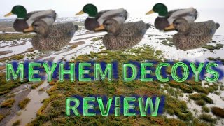 MAYHEM DECOYS DUCK DECOYS REVIEW FLOCKED [upl. by Becka808]