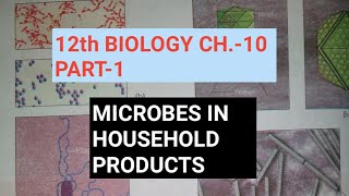 Class 12 biology chapter 10part 1Microbes in human welfareStudy with Farru [upl. by Yerot443]