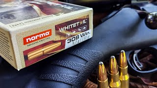 Norma Whitetail 308  100 Yard Group Test  Ruger American 308 [upl. by Archie]