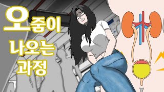 소변이 나오는 과정 애니메이션 [upl. by Flint59]