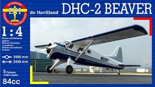 DHC2 BEAVER 14 SCALE  Electric and Methanol engines [upl. by Neirbo]