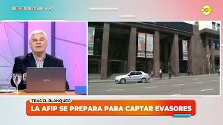 La AFIP se prepara para captar evasores │LPELDM│ 040924 [upl. by Sandye469]