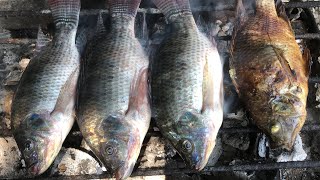 Grilling tilapia fish 🐠in charcoal fishgrilled [upl. by Tomlin954]