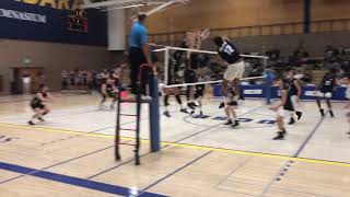 UCSB vs Lindenwood NCAA Volleyball Highlights 2019 [upl. by Wadesworth]