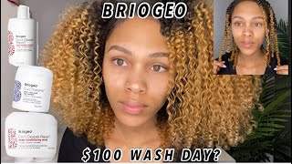 100 Wash Day Using BRIOGEO Hair Products For DryDamaged Hair [upl. by Gnuoy]