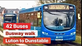 Busway Walk From Luton to Dunstable 🚍 I Filmed 42 Buses Pass Me [upl. by Oremor]