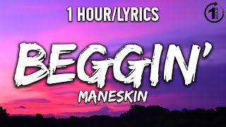 Beggin  Måneskin  1 HourLyrics   1 Hour Selection [upl. by Barthold]