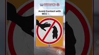 World Zoonoses Day Let’s Prevent Zoonotic Disease Transmission  Siddhanta Superspeciality Hospital [upl. by Anazraf]