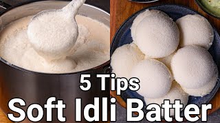 How to Make Soft Idli with 5 Basic Tips  Spongy Idli Batter with Wet Grinder  No Soda No Yeast [upl. by Bascio]