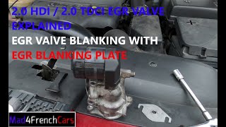 20HDI  20TDCI EGR valve and EGR valve blanking with blanking plate [upl. by Fisa]