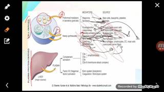 Inflammation part3 chemial mediators [upl. by Weatherby]