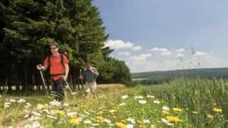 Travel Guide Rhineland Germany  Romantic Germany RhinelandPalatinate [upl. by Kina]