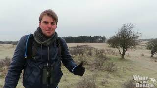 Vlog Spotten in de Amsterdamse Waterleidingduinen [upl. by Archangel]