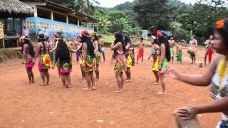 Danza Embera  Embera Drua [upl. by Ahrat]