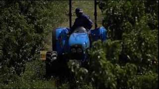 Landini Technofarmflv [upl. by Anrapa]