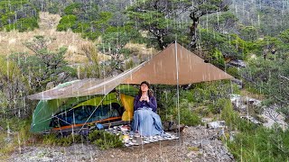 Solo Camping in a TORRENTIAL RAIN Storm  my Wildest camp so far [upl. by Allen356]