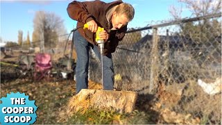 Most Amazing Way To Remove A Tree Stump [upl. by Katti]