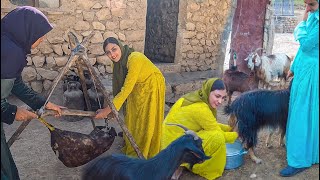 How to process milk in abandoned village [upl. by Ario782]