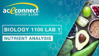 Biology Lab  Nutrient Analysis [upl. by Latonia]