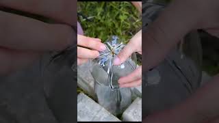 Lets make a fruit catcher out of discarded water bottles  hamdmade recycle plastic short [upl. by Annayak]