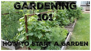 Gardening 101 How To Start A Garden [upl. by Pamella591]