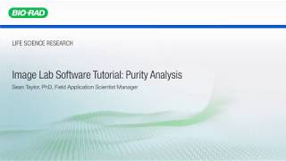 Image Lab Software Tutorial Purity Analysis [upl. by Anyehs659]