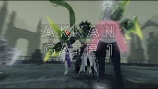 LOST ARK  1581 GUNSLINGER CRUEL FIGHTER  Akkan NM Gate 1 [upl. by Iatnohs487]