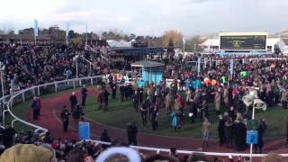 Cheltenham Festival 2013  Sprinter Sacre  Winners Reception [upl. by Adnama]