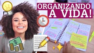 COMO ORGANIZO MINHA VIDA  agenda rotina planner postit metas  por Ana Lídia Lopes [upl. by Fariss]