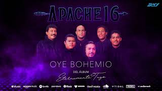 Apache 16  Oye Bohemio Audio Oficial [upl. by Enirehtahc]