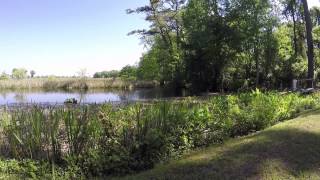 SOLD Lot 226 Olde Canal Loop Pawleys Island SC [upl. by Yruam]