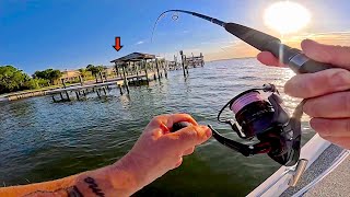 Fishing these Backyard Piers and Inshore Bays for our Dinner [upl. by Ruenhs]