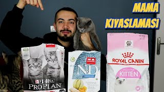 KEDİ MAMASI KARŞILAŞTIRMASI Royal Canin ProPlan ND Kıyaslama [upl. by Roswell]