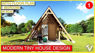 Unique AShaped Tiny House Design  230k Budget [upl. by Airitak]